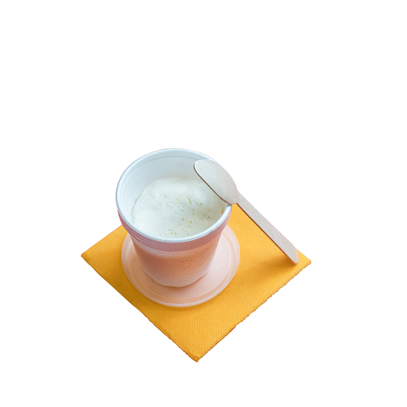 Sorbet Coco